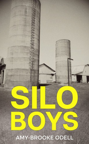 Silo Boys - 9781915490124