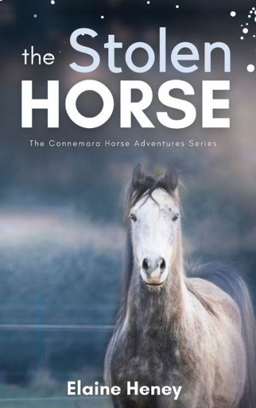 The Stolen Horse - Book 4 In The Connemara Horse Adventure Series For Kids The Perfect Gift For Children (Connemara Pony Adventures) - 9781915542472