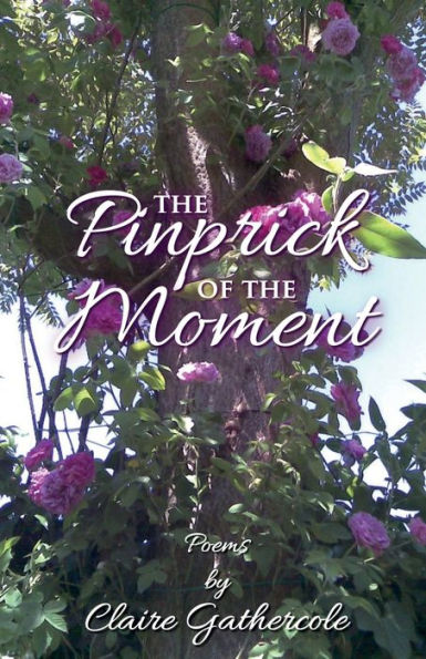 The Pinprick Of The Moment - 9781915889133