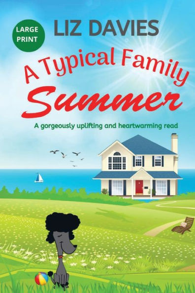 A Typical Family Summer - 9781915940117