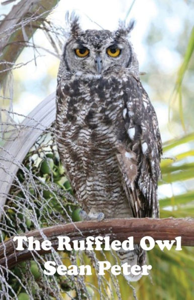 The Ruffled Owl