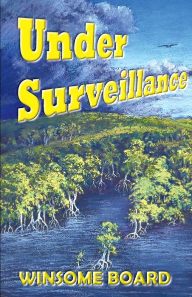 Under Surveillance - 9781922956606