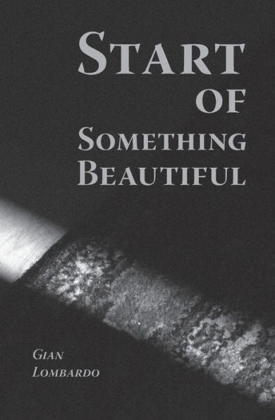 Start Of Something Beautiful - 9781935835318