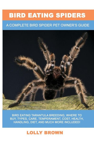 Arañas que comen pájaros: cría de tarántulas que comen pájaros, dónde comprar, tipos, cuidados, temperamento, costo, salud, manejo, dieta y mucho más incluido. Una guía completa para propietarios de mascotas Bird Spider