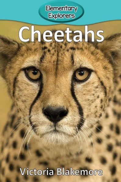 Cheetahs (41) (Elementary Explorers)