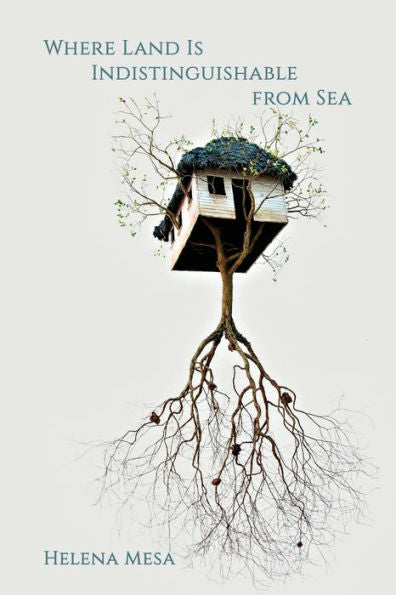 Where Land Is Indistinguishable From Sea - 9781947896673