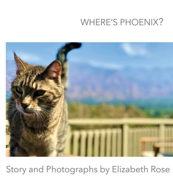 Where's Phoenix? - 9781952103629