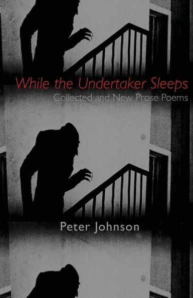 While The Undertaker Sleeps - 9781952335594