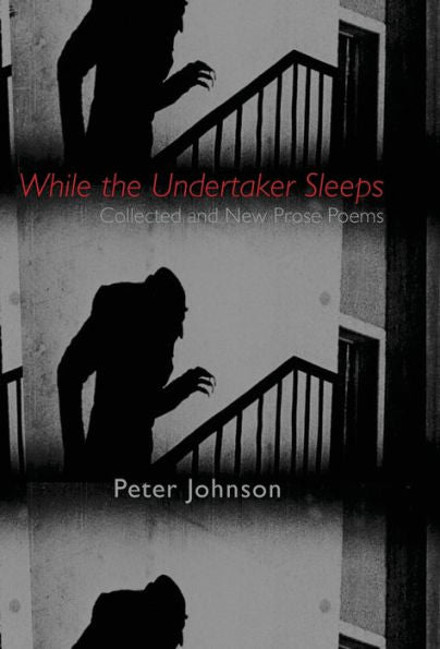 While The Undertaker Sleeps - 9781952335600