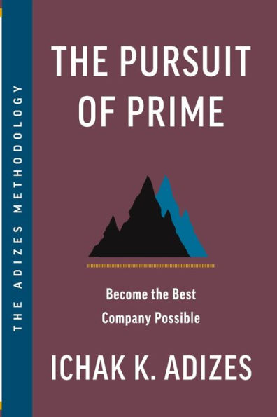 The Pursuit Of Prime: Become The Best Company Possible - 9781952587085