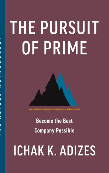 The Pursuit Of Prime: Become The Best Company Possible - 9781952587177