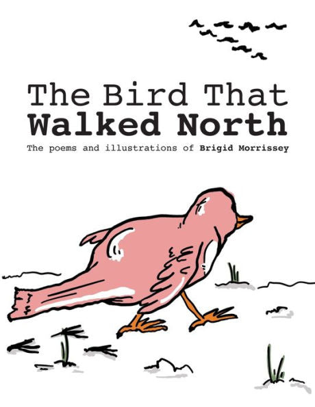 The Bird That Walked North - 9781953497512