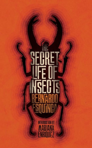 The Secret Life Of Insects And Other Stories - 9781954321960