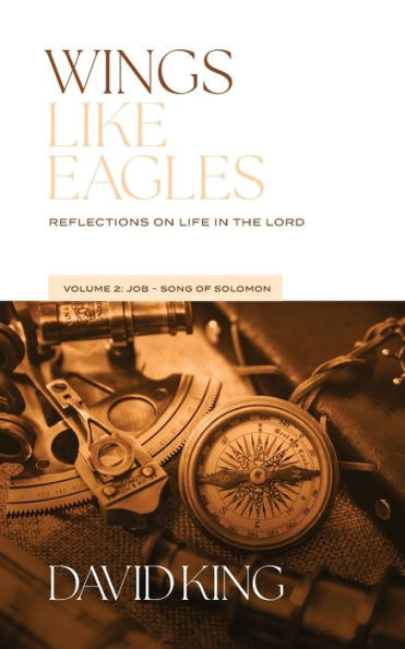 Wings Like Eagles Vol. 2: Vol. 2: Reflections On Life In The Lord - Volume 2