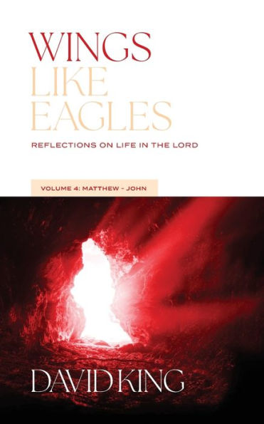 Wings Like Eagles: Reflections On Life In The Lord Vol. 4: Matthew-John - 9781955285650