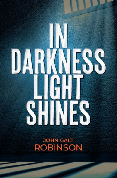 In Darkness Light Shines - 9781955620154