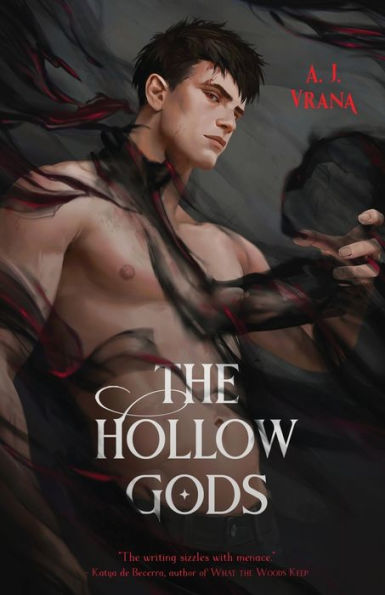 The Hollow Gods (The Chaos Cycle) - 9781956136661