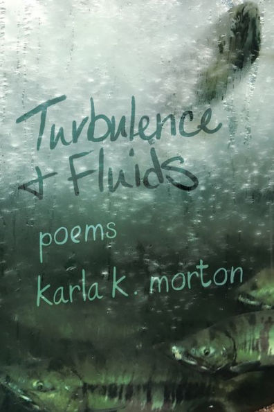 Turbulence & Fluids: Poems
