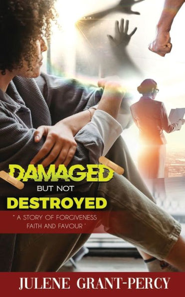 Damaged But Not Destroyed: A Story Of Forgiveness, Faith, And Favour - 9781958404348