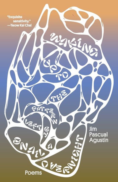 Waking Up To The Pattern Left By A Snail Overnight: Poems - 9781958652008