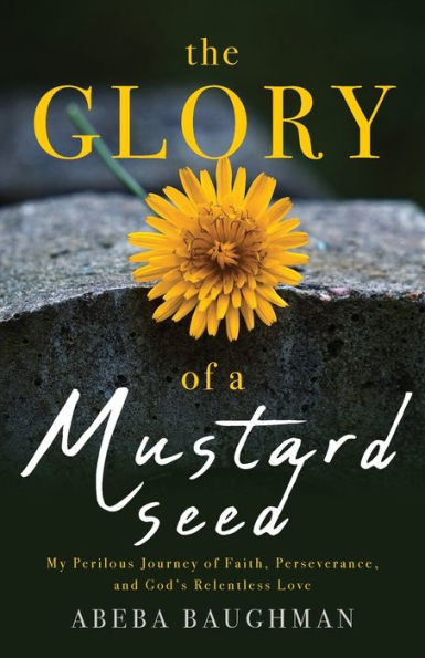 The Glory Of A Mustard Seed: My Perilous Journey Of Faith, Perseverance, And God's Relentless Love - 9781959099253