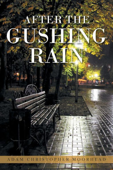After The Gushing Rain - 9781959182900