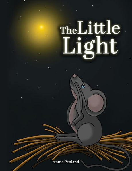 The Little Light - 9781959579489