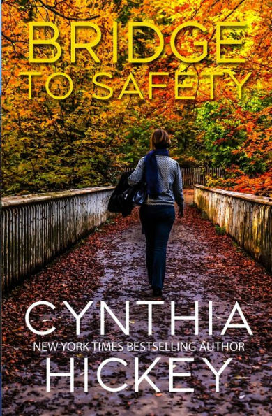 Bridge To Safety - 9781959788591