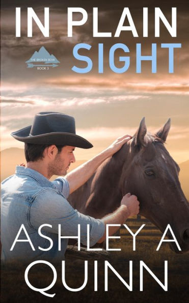 In Plain Sight (Broken Bow) - 9781959943068