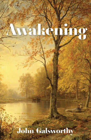 Awakening: And Indian Summer Of A Forstye - 9781959986096