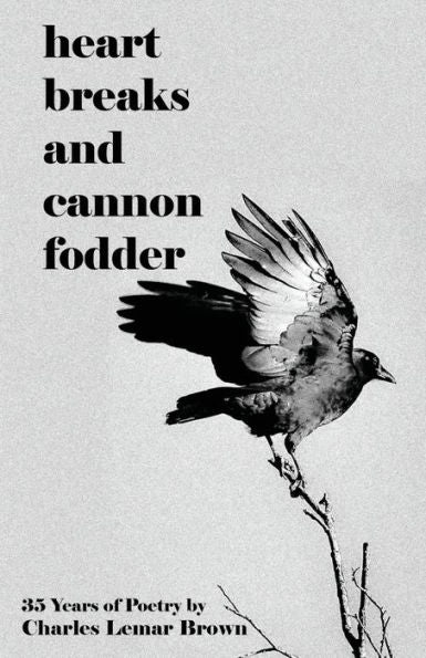 Heart Breaks And Cannon Fodder - 9781960010179