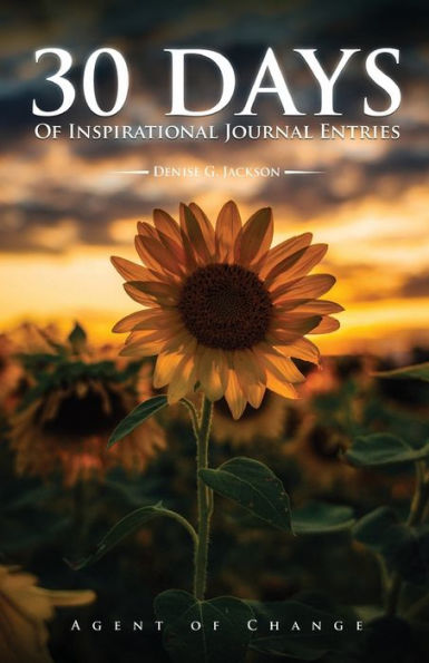 30 Days - Inspirational Journal Entries - 9781960116048
