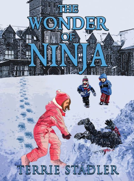The Wonder Of Ninja - 9781960224149