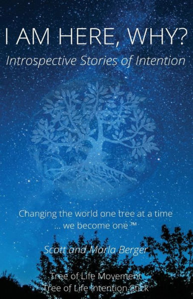 I Am Here, Why?: Introspective Stories Of Intention