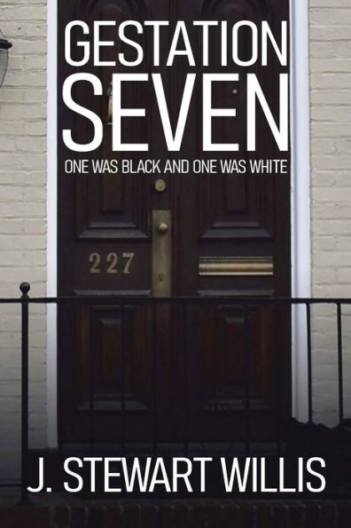 Gestation Seven: One Was Black And One Was White - 9781960675729