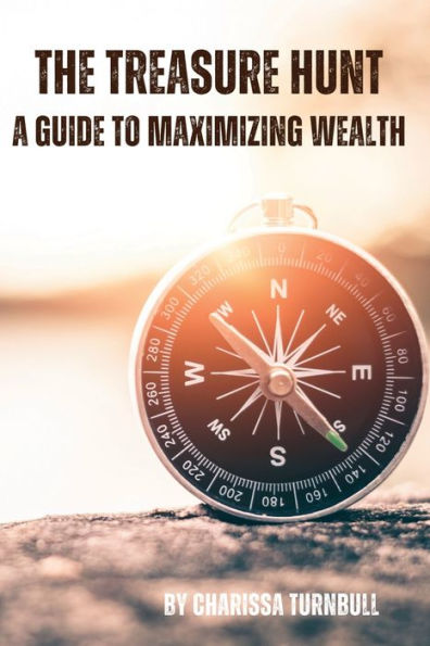 The Treasure Hunt - A Guide To Maximizing Wealth - 9781961185135
