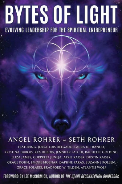 Bytes Of Light: Evolving Leadership For The Spiritual Entrepreneur - 9781961493070