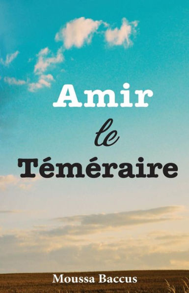Amir Le Temeraire (French Edition)