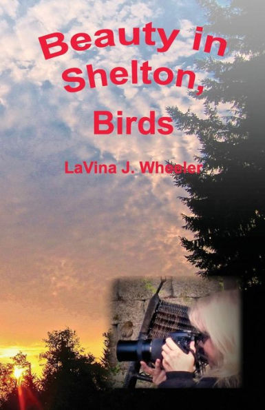 Beauty in Shelton: Birds