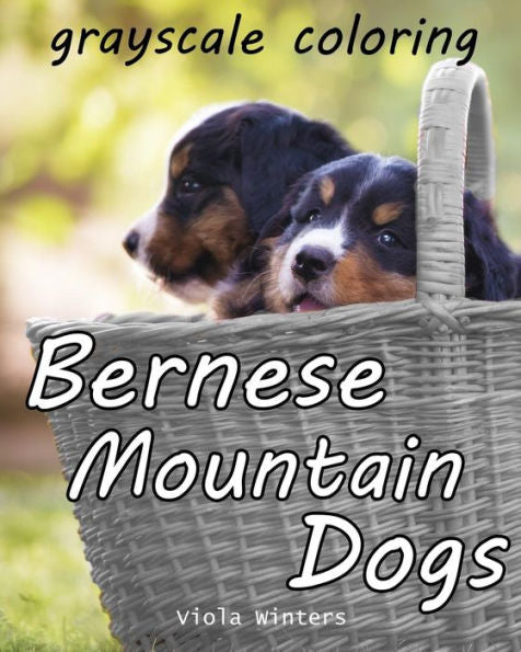 Perros de montaña de Berna: colorear en escala de grises