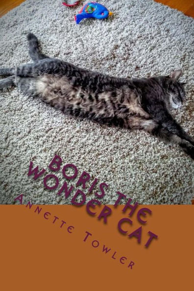 Boris el gato maravilla