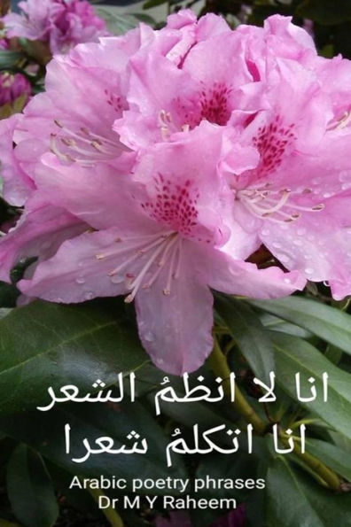 Arabic Poetry Phrases (Arabic Edition)