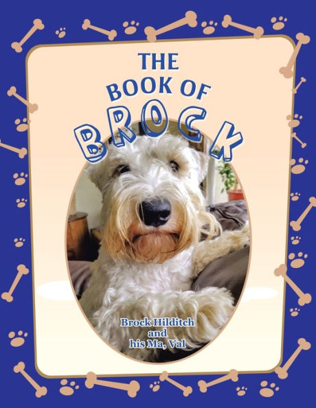The Book Of Brock - 9781982287214