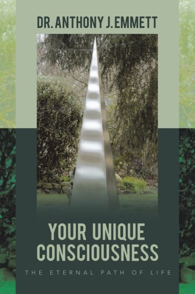 Your Unique Consciousness: The Eternal Path Of Life - 9781982296926