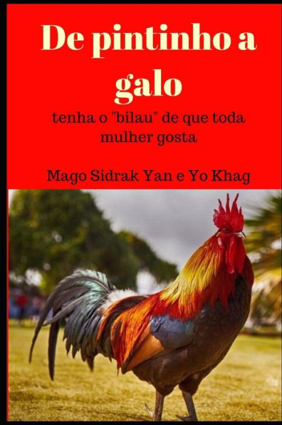 De pintinho a galo: tenha o "bilau" de que toda mulher gosta (Portuguese Edition)