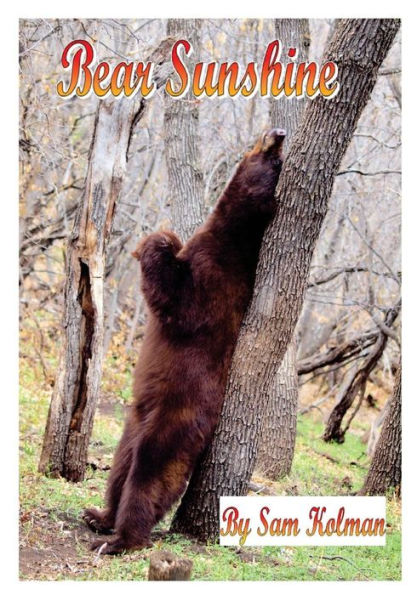 Oso Sol