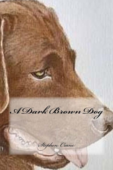 Un perro marrón oscuro