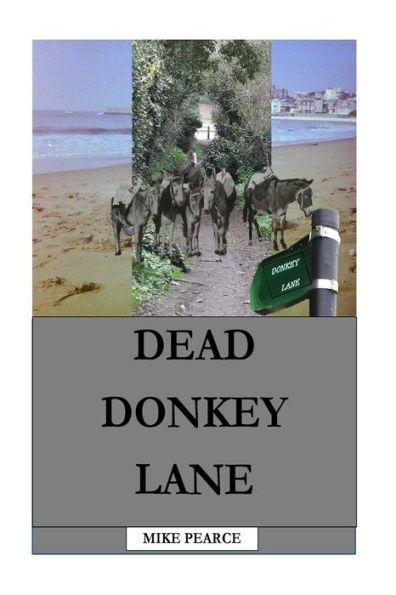 Carril del burro muerto