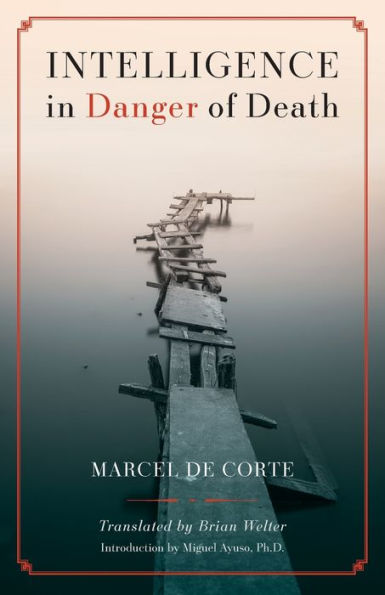 Intelligence In Danger Of Death (English Edition) - 9781990685552