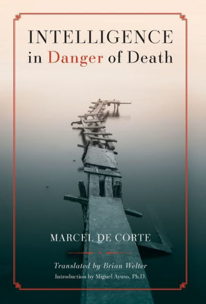 Intelligence In Danger Of Death (English Edition)